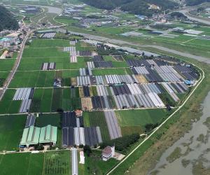 '산청군 새해 농업소득증대 지원사업 25억원 투입'