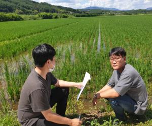 '산청 영실영농조합법인, 가루쌀 경진대회 우수상'