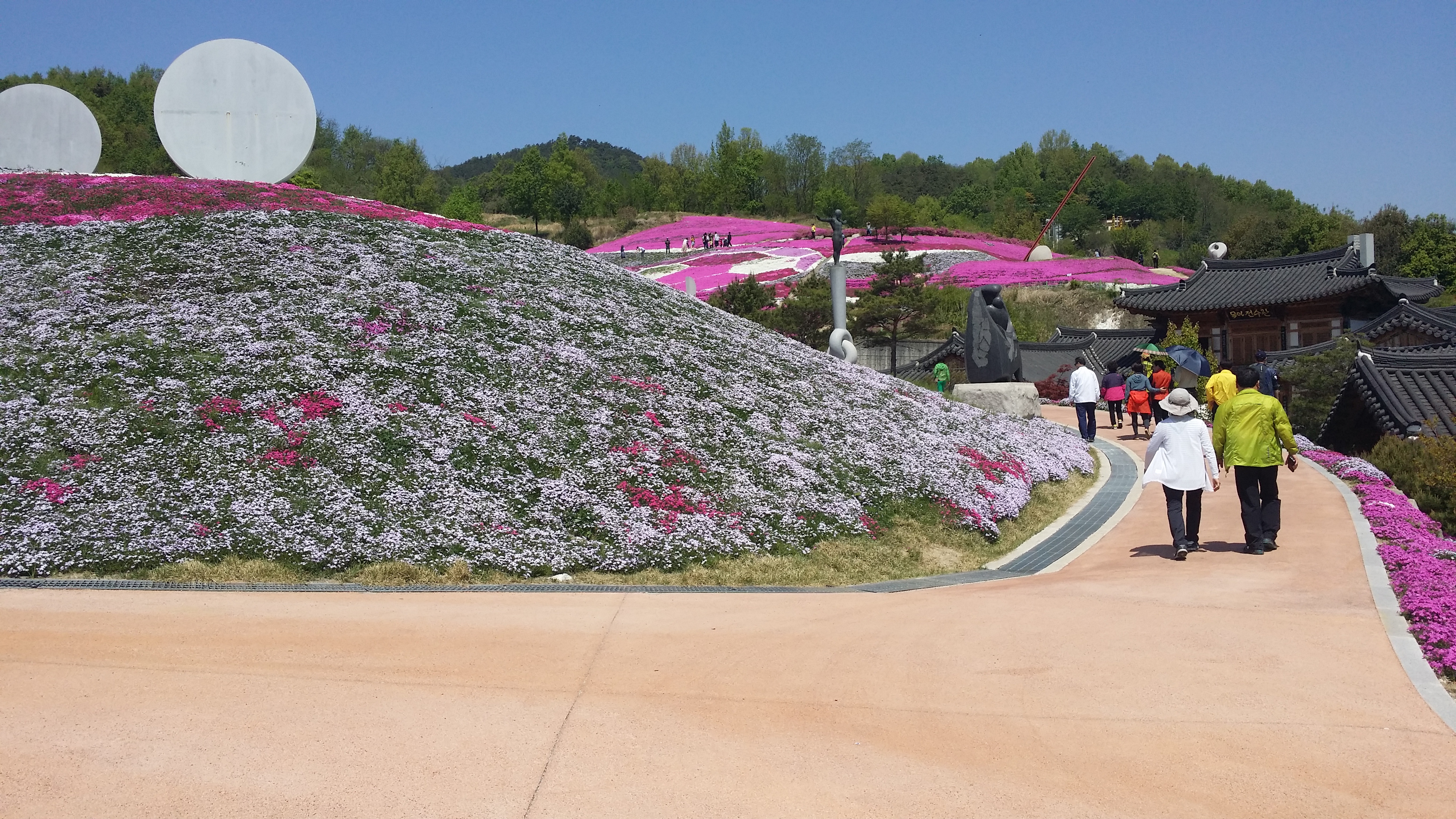 2017 산청 생초국제조각공원 꽃 잔디 축제 2