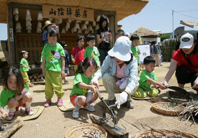 Sancheong Oriental Medicinal Herbs Festival image