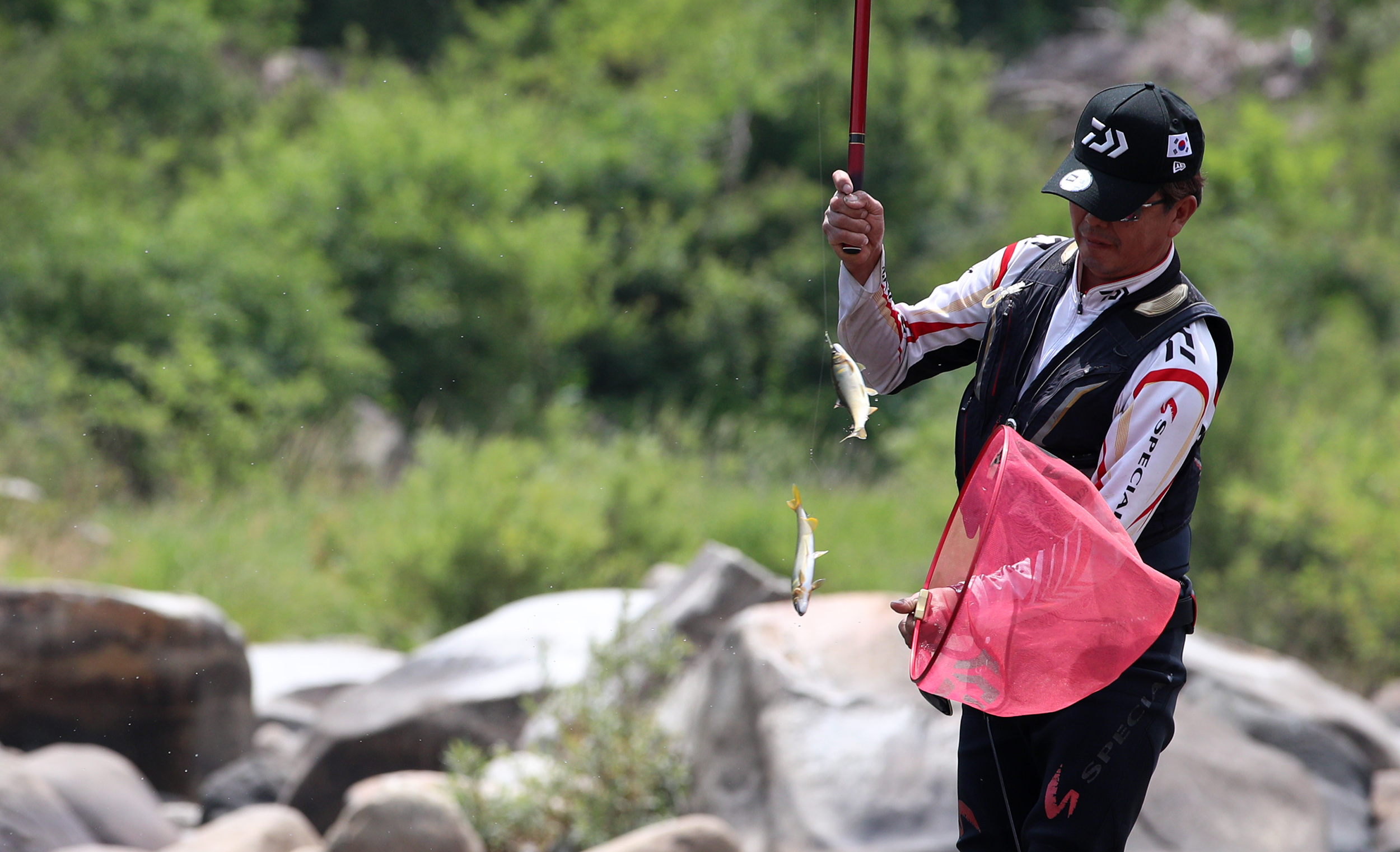 “왔다~!” 산청 경호강 은어 낚시로 활기 2