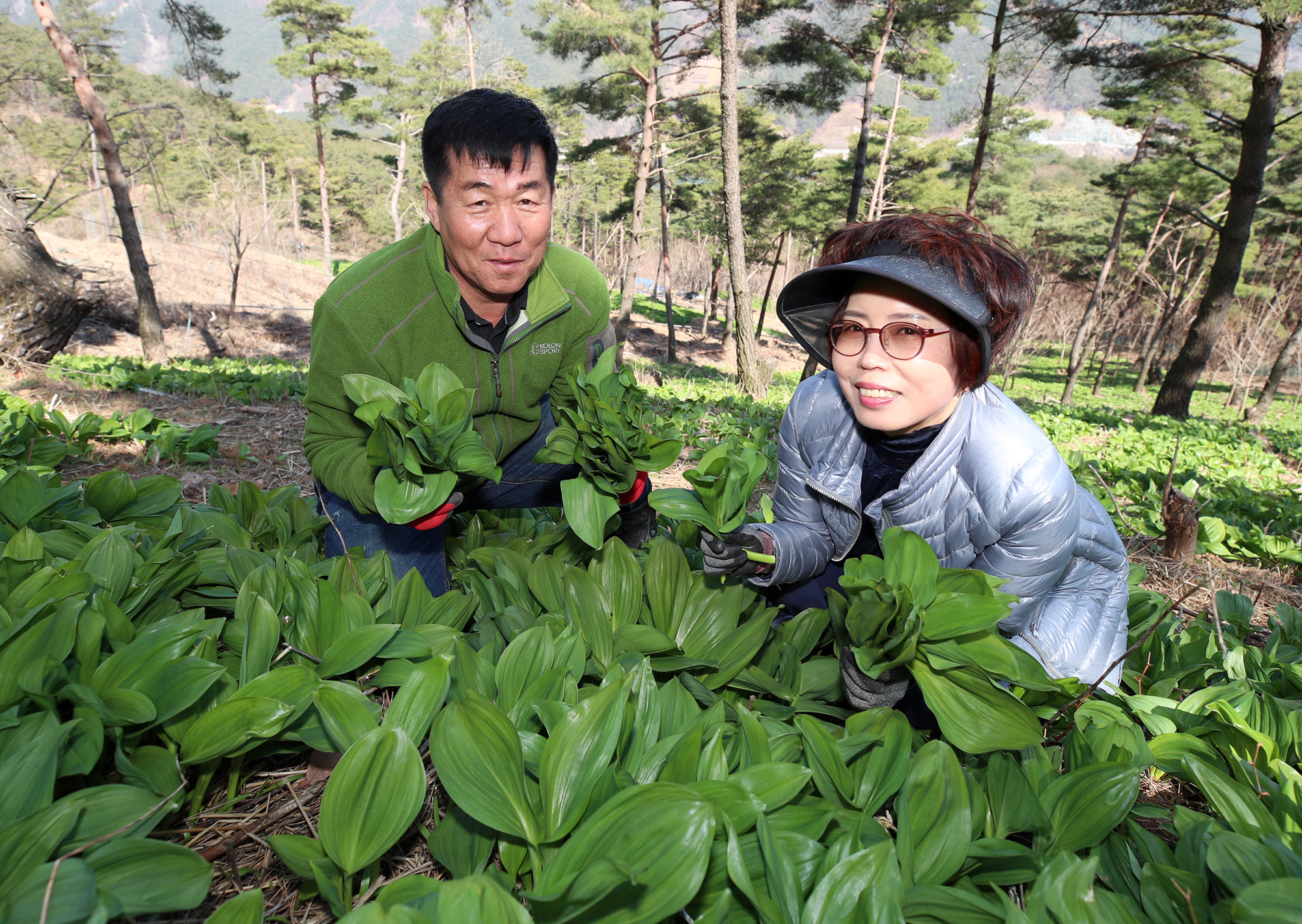 지리산 산청 산마늘 장아찌 타임세일 이벤트 2