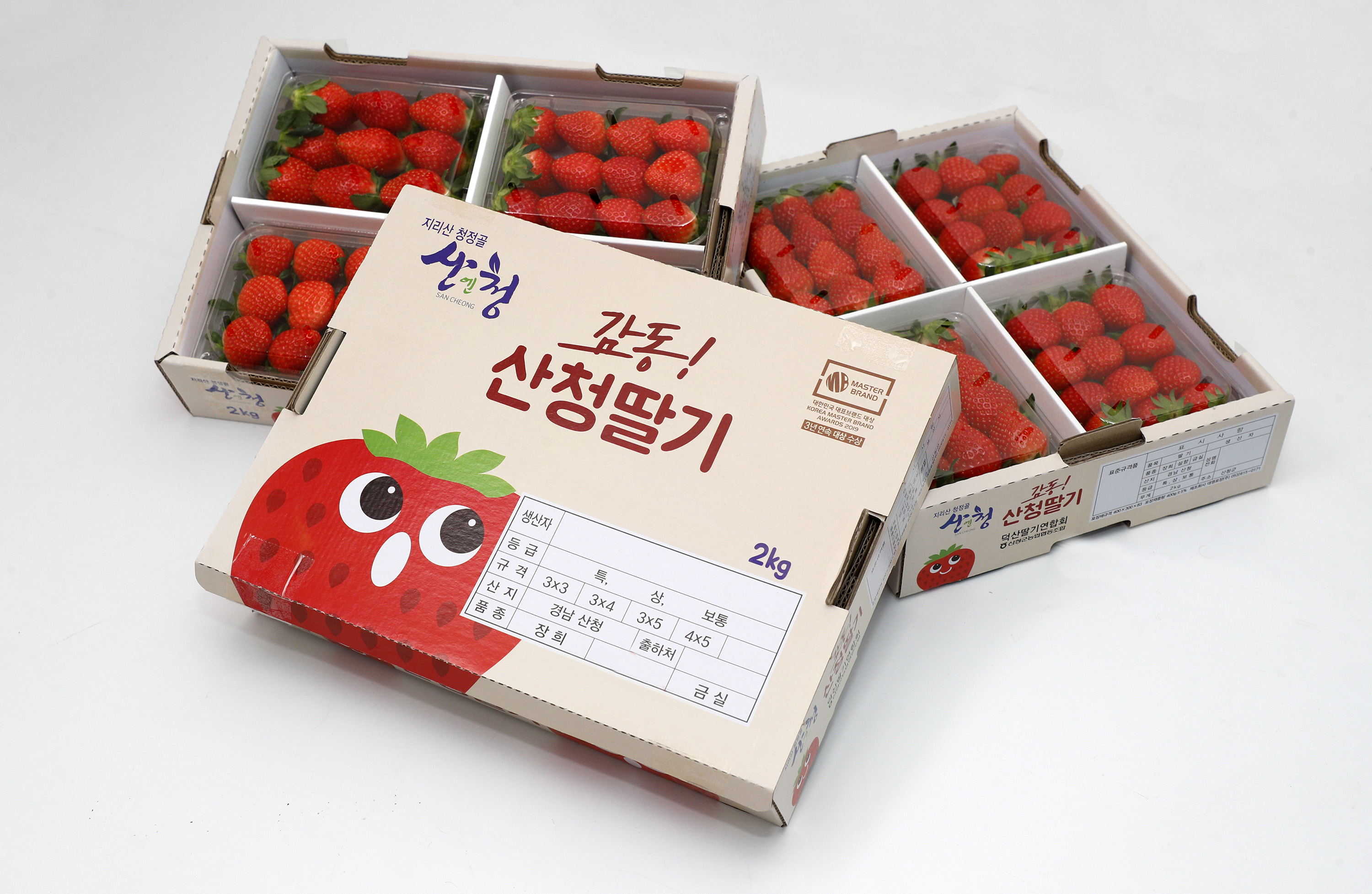 산청군, 딸기농가 맞춤형 양액처방 컨설팅 2