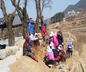 '주민들이 만드는 차황 철수마을 사계절 꽃동산'