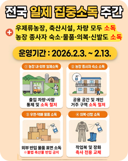 전국 일제 집중소독 주간
우제류농장, 축산시설, 차량 모두 소독
농장 종사자 숙소·물품·신발도 소독
운영기간 : 2026.2.3. ~ 2.13.
① 농장 내·외부 일제소독
출입 차량·사람 통제 및 소독 철저
② 농장 종사자 숙소 소독
공용 공간 및 개인 거주 구역 소독 철저
③ 우편·택배 물품 소독
외부 반입 물품 표면 소독
※ 불법 축산물 반입 금지
④ 작업복 및 장화 축사 전용 교체